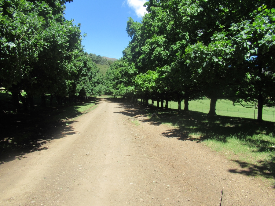 0 Bedroom Property for Sale in Barkly East Rural Eastern Cape